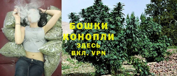 прущая мука Сясьстрой