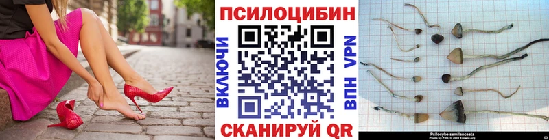 как найти закладки  Верхняя Тура  Галлюциногенные грибы Psilocybine cubensis 